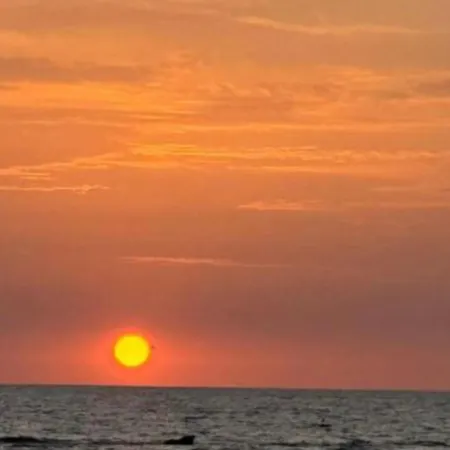 Πανσιόν Il Sogno Di Rosa